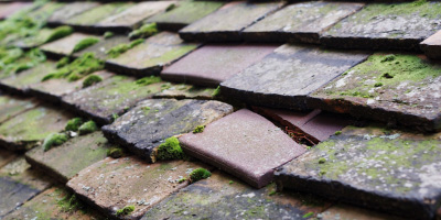 Catworth roof repair costs